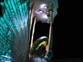 D50_1425