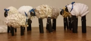 sheep flock